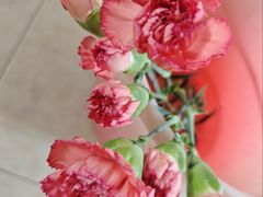 -盒马鲜生(馥邦国际店)