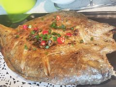 -九府羊·鲜羊火锅·烤串(新华路店)