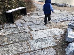 -桃花岛公园