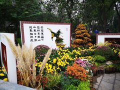 -莲湖公园