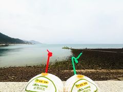 -杨梅坑