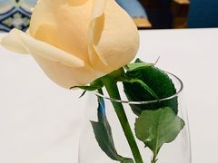 -伊斯坦布尔土耳其清真咖啡餐厅