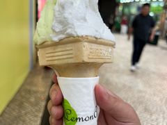 -柠檬车露(卖草地店)