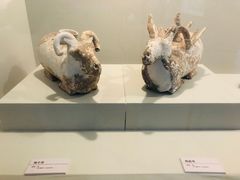 -安阳博物馆