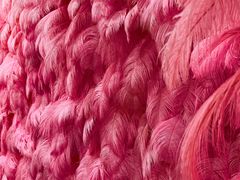 -星空失恋博物馆(北京路旗舰店)