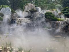 -东莞植物园