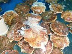 -聚德福海鲜家常菜(刘庄店)