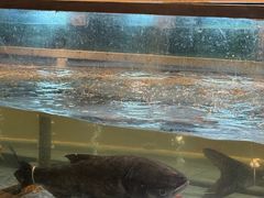 -老淳安—伴山伴湖(千岛湖开元度假村店)