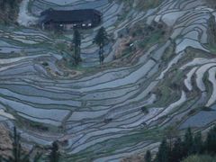 -紫鹊界梯田景区