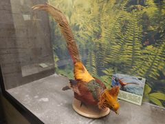 -下渚湖国家湿地公园科普馆