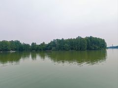 -东湖落雁景区