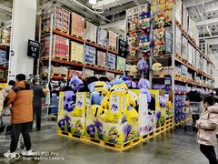 -山姆会员商店(亦庄创意生活广场店)