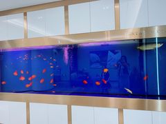 -牙博士口腔(杨浦店)