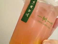 -一树一叶·福建茶档(石鼓路店)