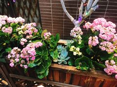 -臻味私厨(国际社区店)