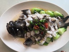 味淋鲜花椒龙趸-维园悦谱·海派家常菜(乌鲁木齐南路店)