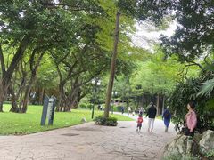 -晓港公园