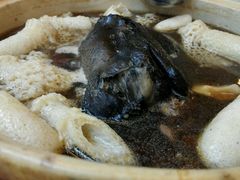 -太婆天府山珍酒楼(亚运村店)