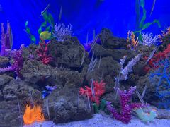 -成都浩海立方海洋公园