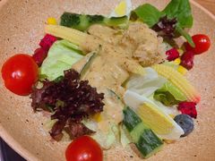 蟹肉蔬菜沙拉-蟹将军·松叶蟹和牛日料放题自助(K11店)