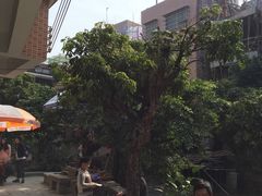 -小洲村
