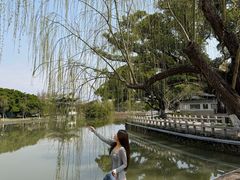 -江心屿景区
