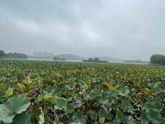 -云龙湖旅游景区