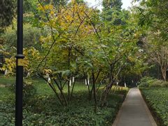 -龙头寺公园
