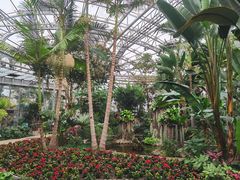 -北京植物园-展览温室