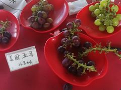 -马陆小张葡萄园农家乐