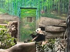 -灵玲国际马戏城