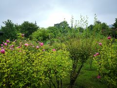 -白塘生态植物园