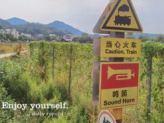 -红山村