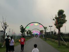 -菊园百果园