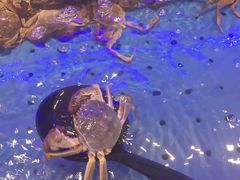 -澜悦港海鲜体验主题餐厅