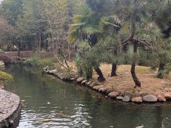 -和县香泉温泉度假村