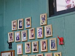 -严国平动物医院(德政总院)