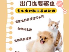 -美联众合动物医院·24h转诊中心