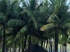 -富国岛翡翠湾 JW 万豪度假酒店