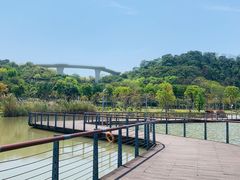 -飞凤山奥体公园