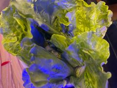 -虾乐园龙虾·夜宵(松江店)