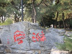 -玲珑塔公园