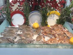 -阳光五洲大酒店·宴会厅