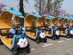 -黄海国家森林公园