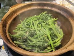 -熠盛粤味·顺德桑拿鸡(永康路店)