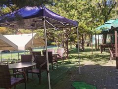 -尚庄度假村·庭台树下·户外烧烤·团建CS·轰趴营地(上庄水库店)