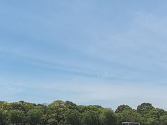 -上海鲜花港