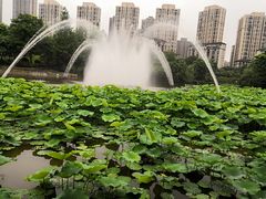 -龙头寺公园