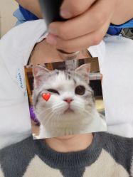 -北京楚诺医疗美容