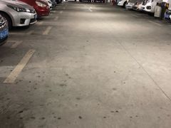 -深圳仙湖植物园-停车场